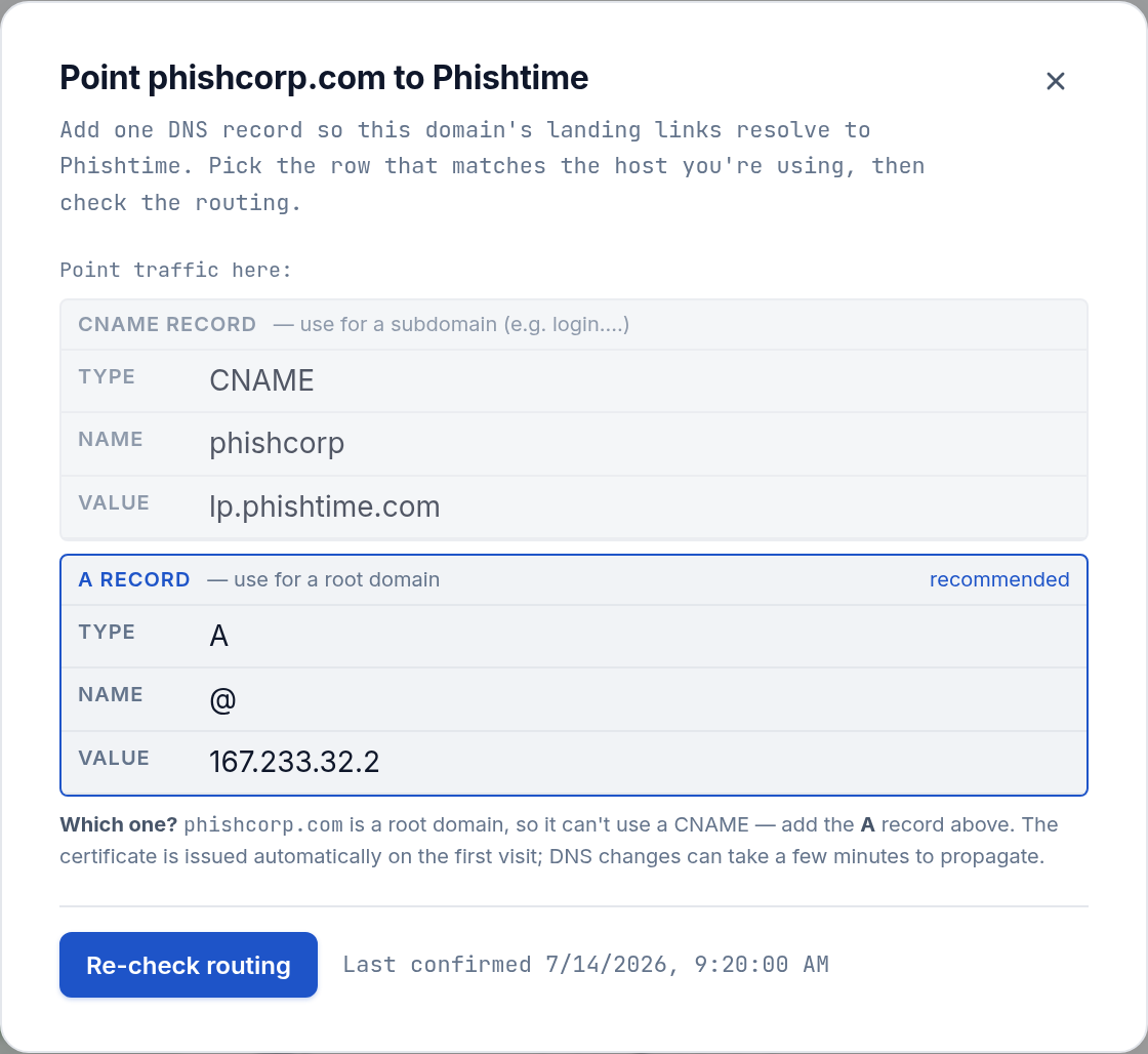 The Configure DNS dialog showing CNAME and A record options to point a custom domain at Phishtime, with the recommended record highlighted